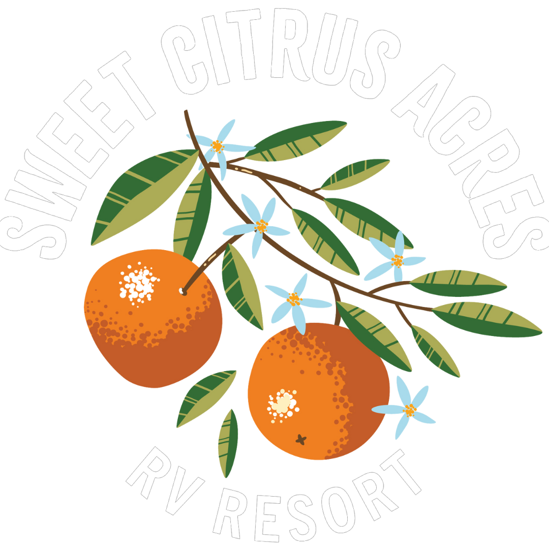 RV Sites | Sweet Citrus Acres RV Resort | Crystal River, FL